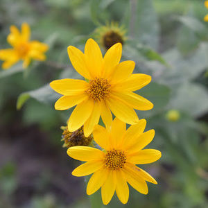 Meet your Posher, Danyalle